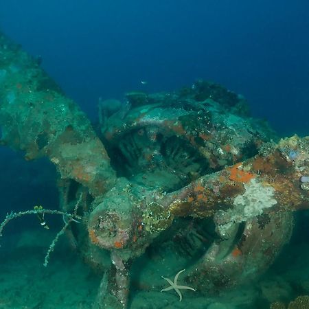 Araya Dive Resort Togean Bomba المظهر الخارجي الصورة