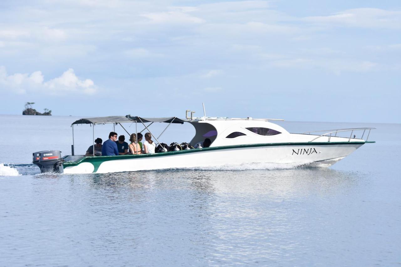 Araya Dive Resort Togean Bomba المظهر الخارجي الصورة