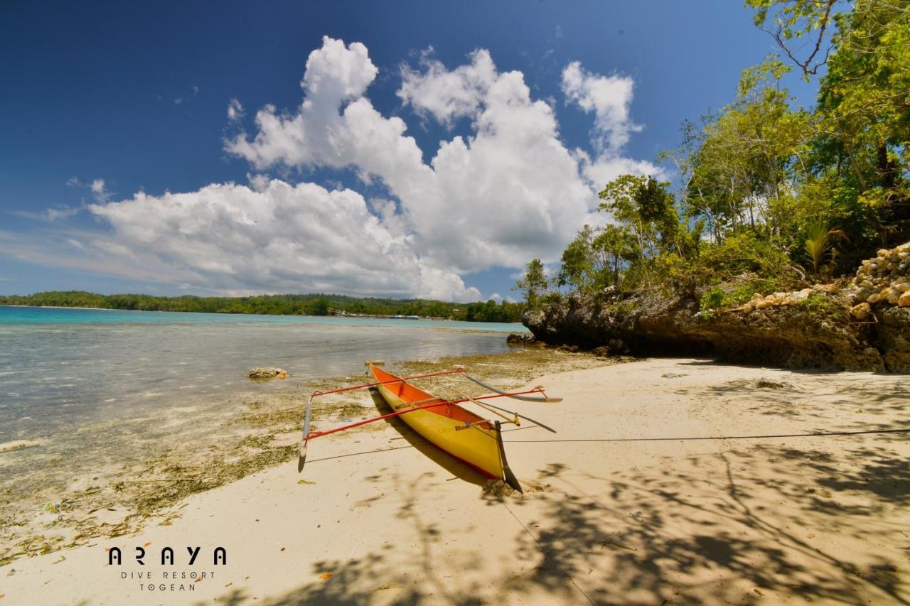 Araya Dive Resort Togean Bomba المظهر الخارجي الصورة
