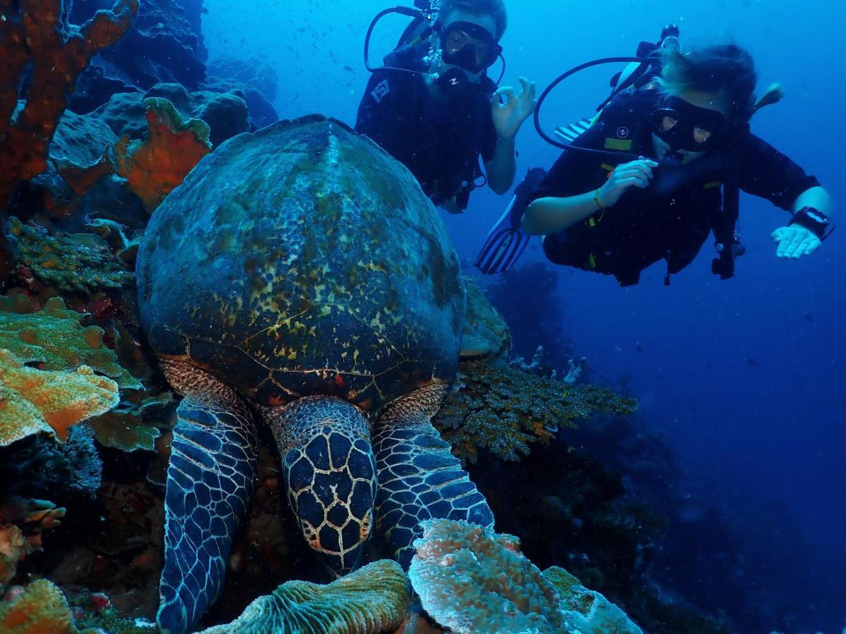 Araya Dive Resort Togean Bomba المظهر الخارجي الصورة