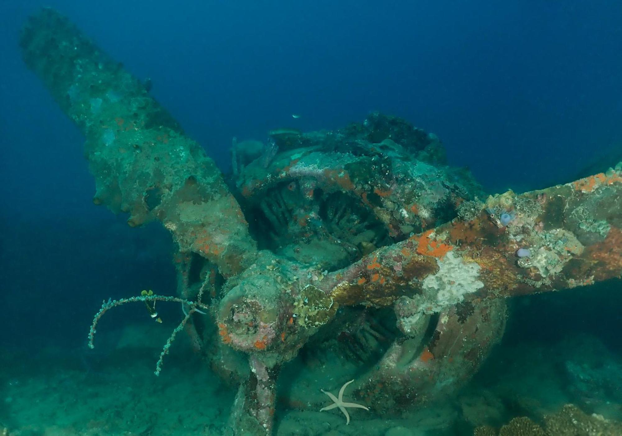 Araya Dive Resort Togean Bomba المظهر الخارجي الصورة